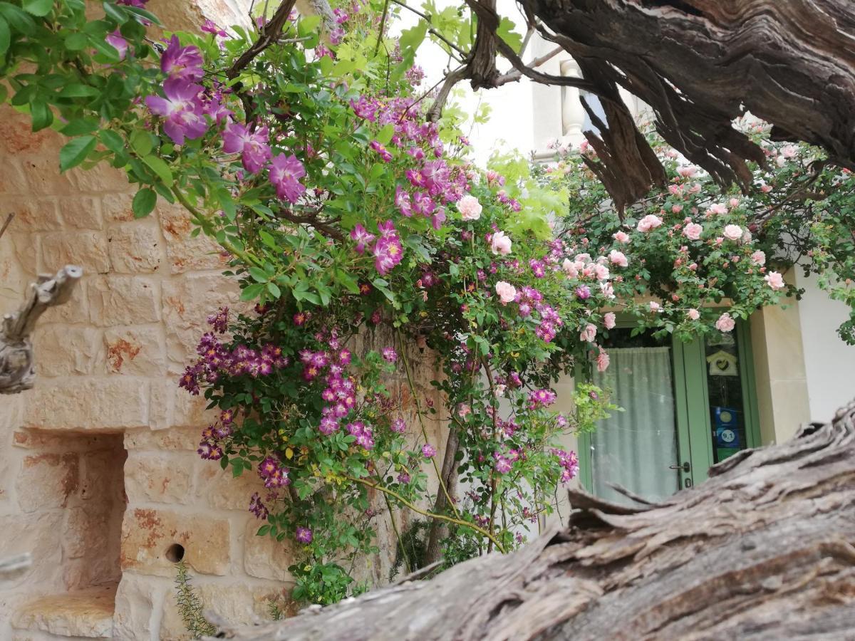 B&B Giovannarolla Green House Ostuni Extérieur photo