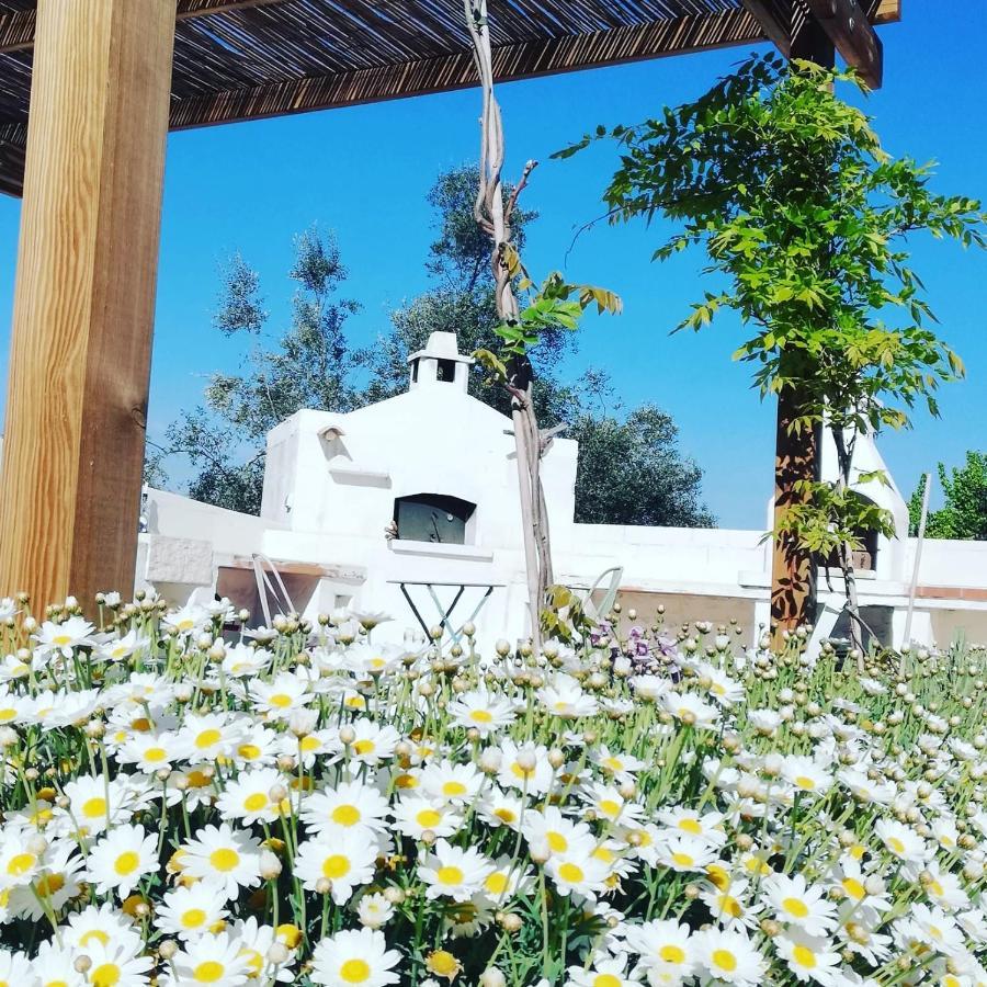 B&B Giovannarolla Green House Ostuni Extérieur photo
