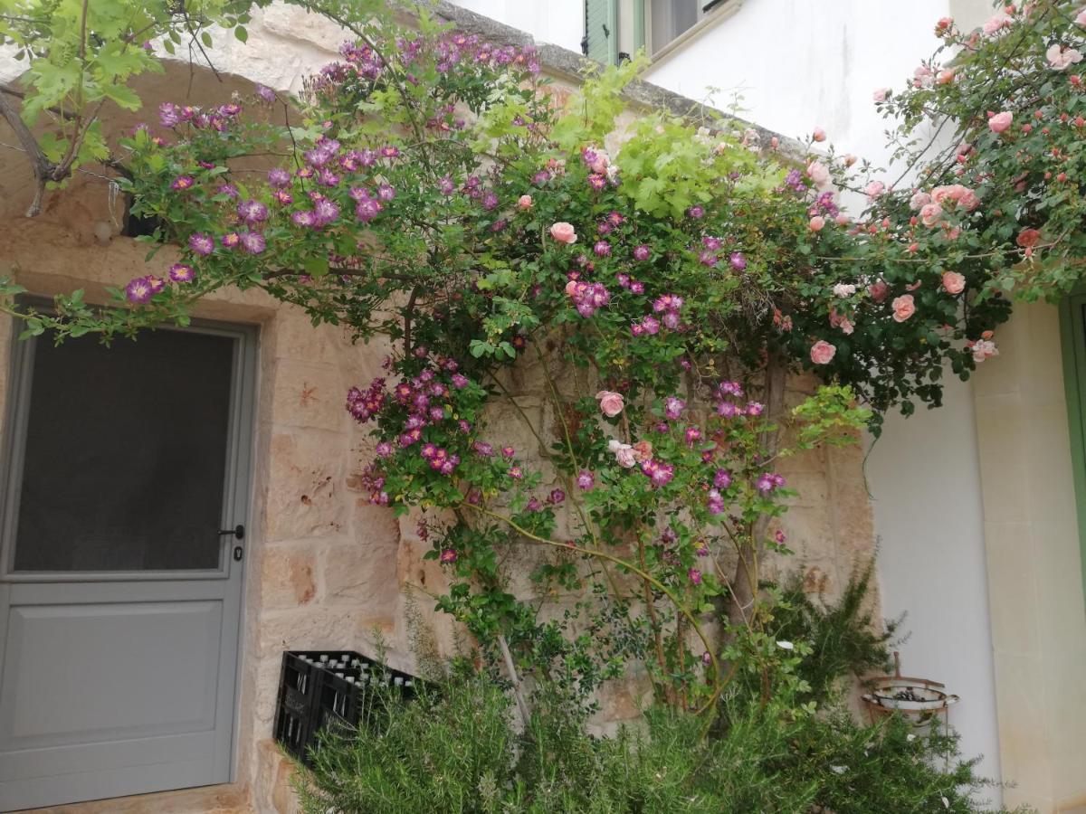 B&B Giovannarolla Green House Ostuni Extérieur photo
