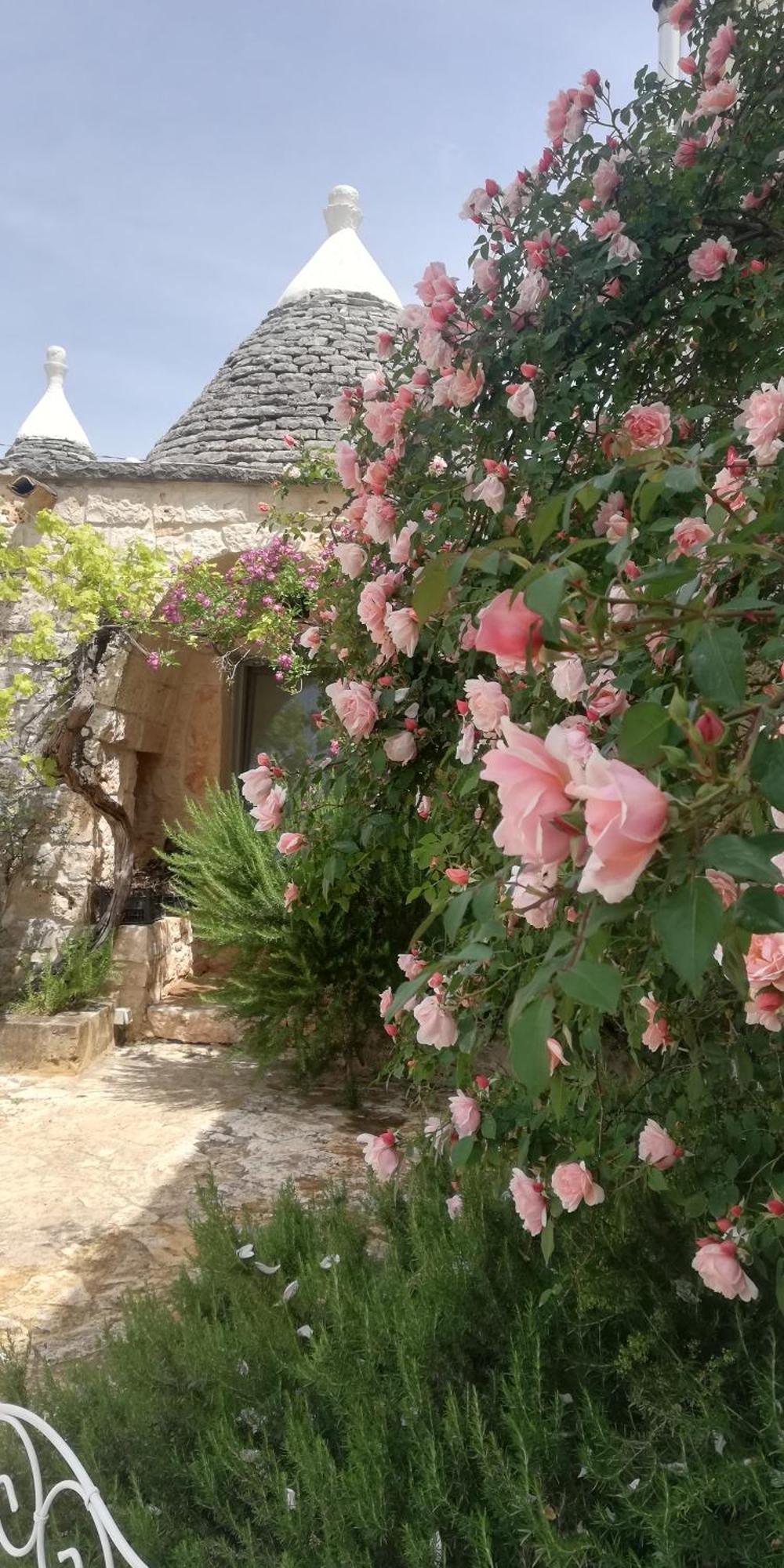 B&B Giovannarolla Green House Ostuni Extérieur photo