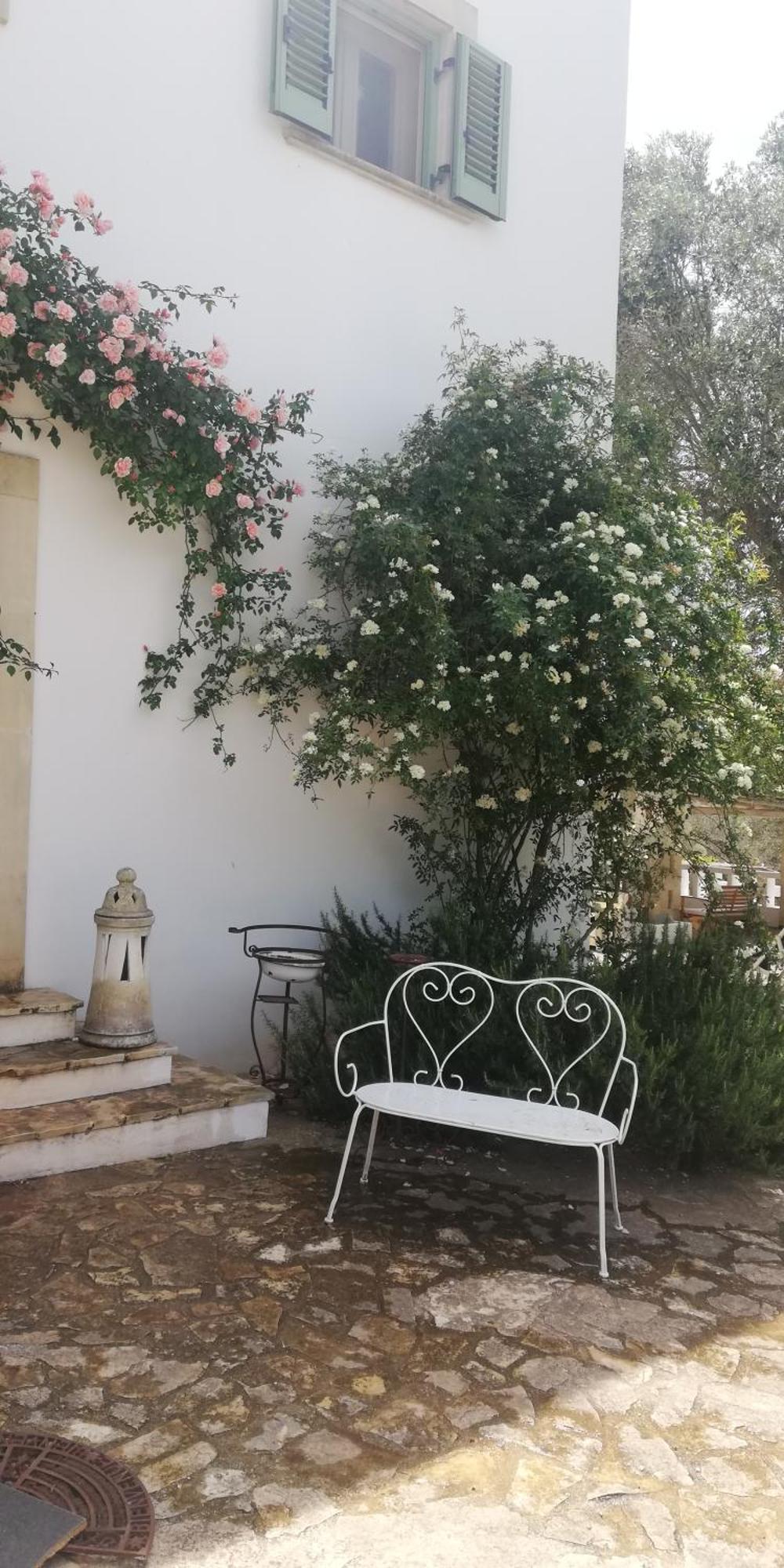 B&B Giovannarolla Green House Ostuni Extérieur photo
