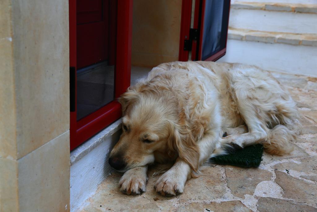 B&B Giovannarolla Green House Ostuni Extérieur photo